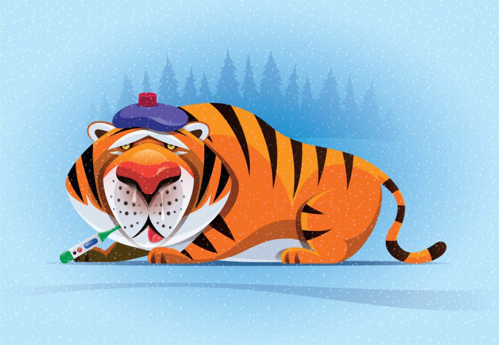 Tiger Global plans cautious venture future with a new $2.2B fund | TechCrunch
